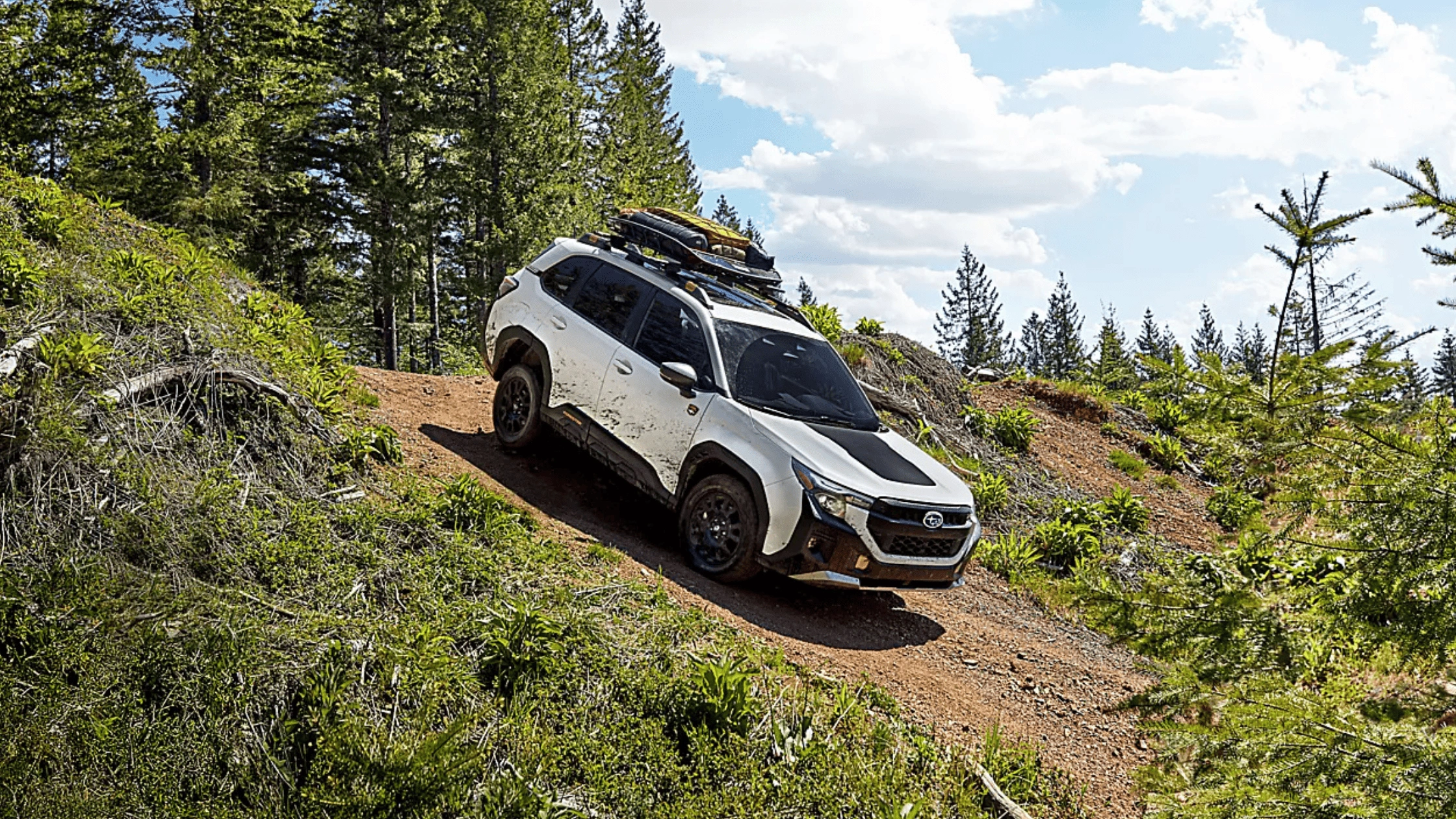 2026 Subaru Forester Wilderness white SUV climbing steep forest dirt trail in Colorado Springs CO