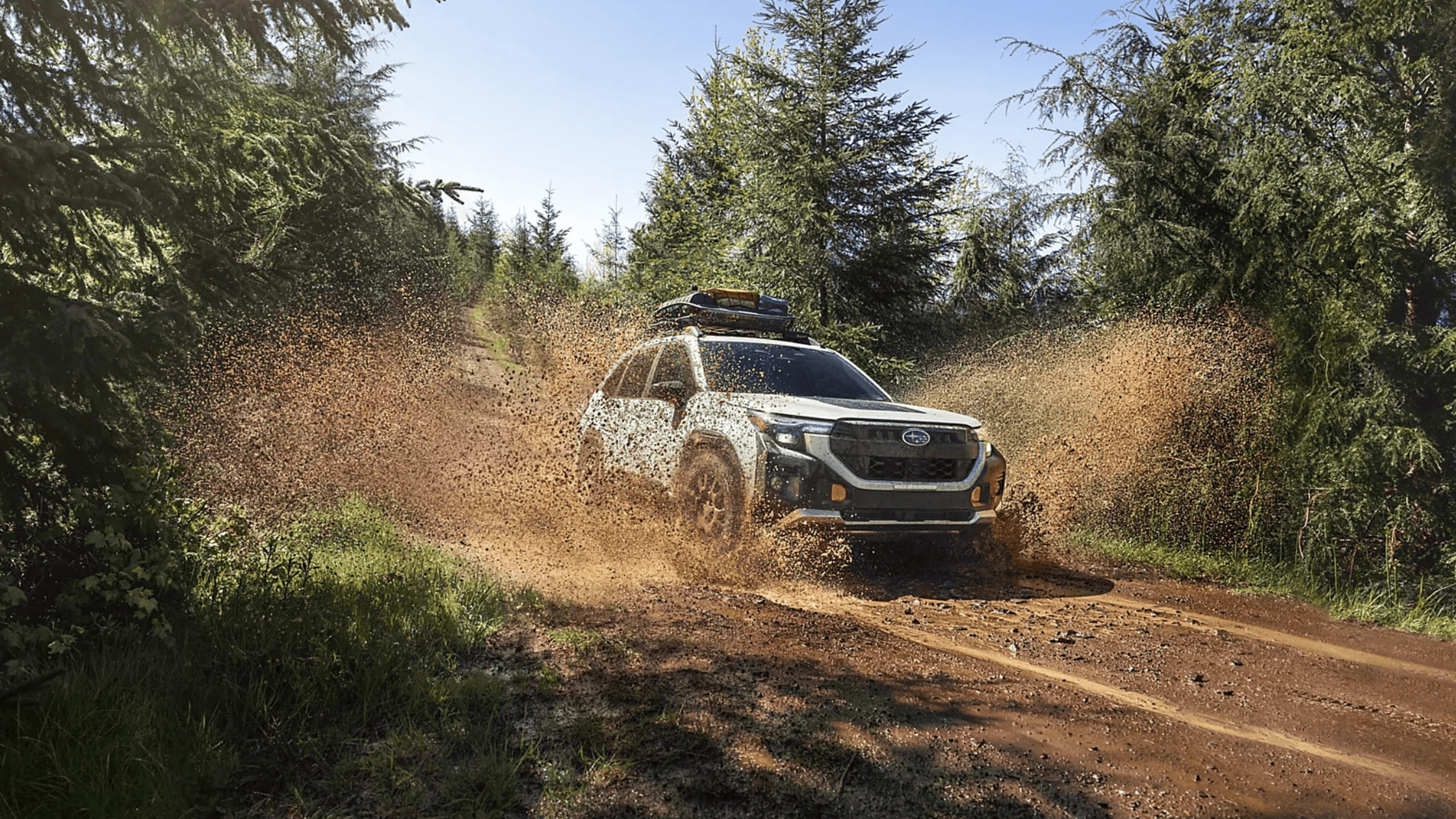White 2026 Subaru Forester Wilderness splashing through mud on forest trail near Pueblo CO