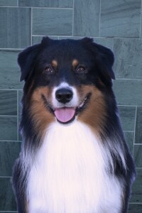 Staff member Buddy from c02df56991c8