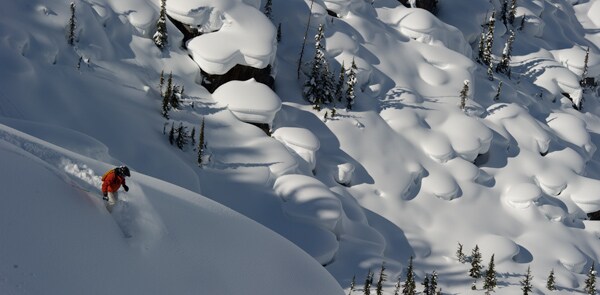  treeline-powder-skiing-heliskiing.jpg
