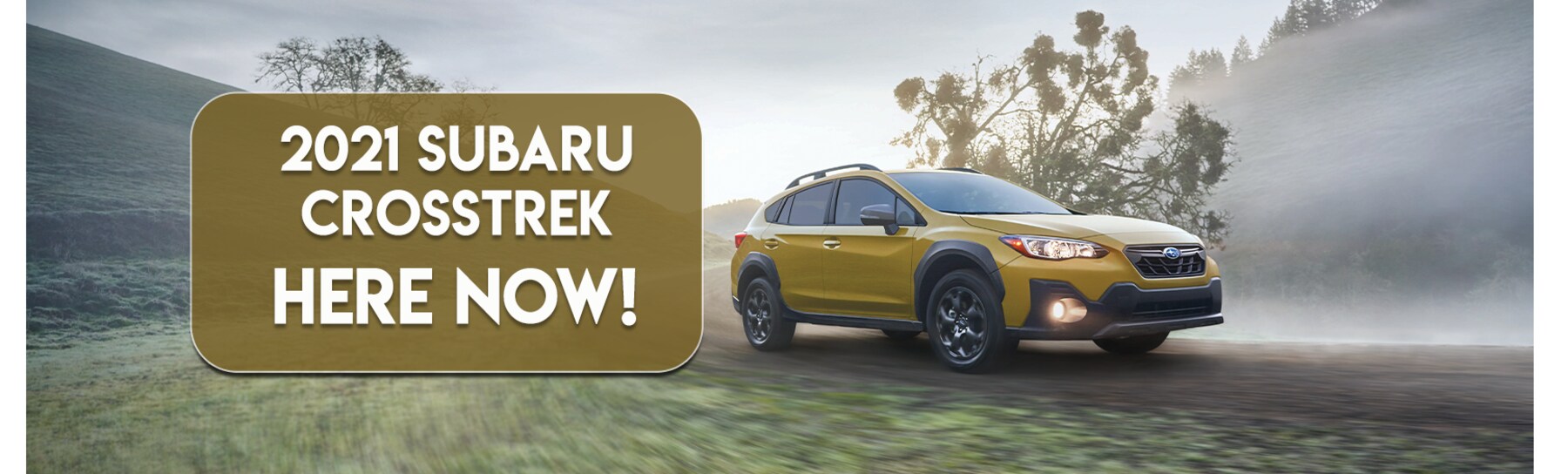 Subaru of Puyallup New & Used Car Dealer Serving & Seattle