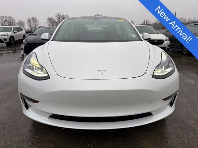 Used 2021 Tesla Model 3 Base with VIN 5YJ3E1EA4MF062790 for sale in Puyallup, WA