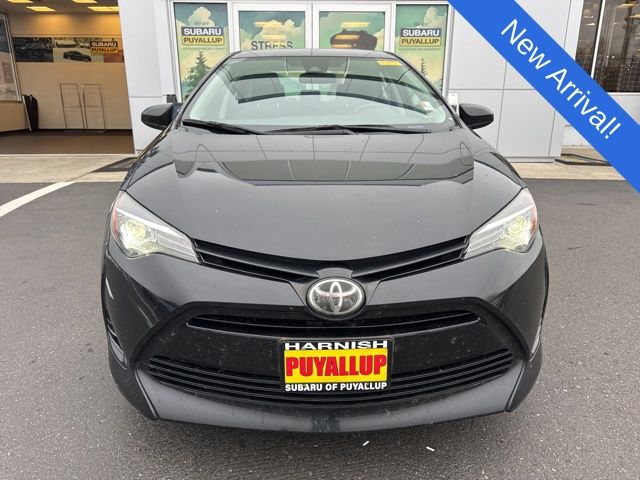 2019 Toyota Corolla LE photo 2