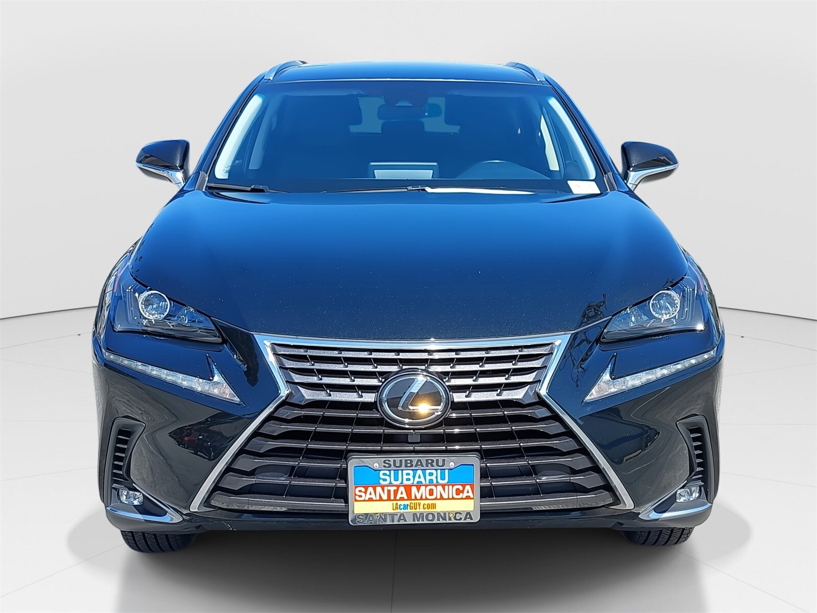 2019 Lexus NX 300 Luxury photo 2