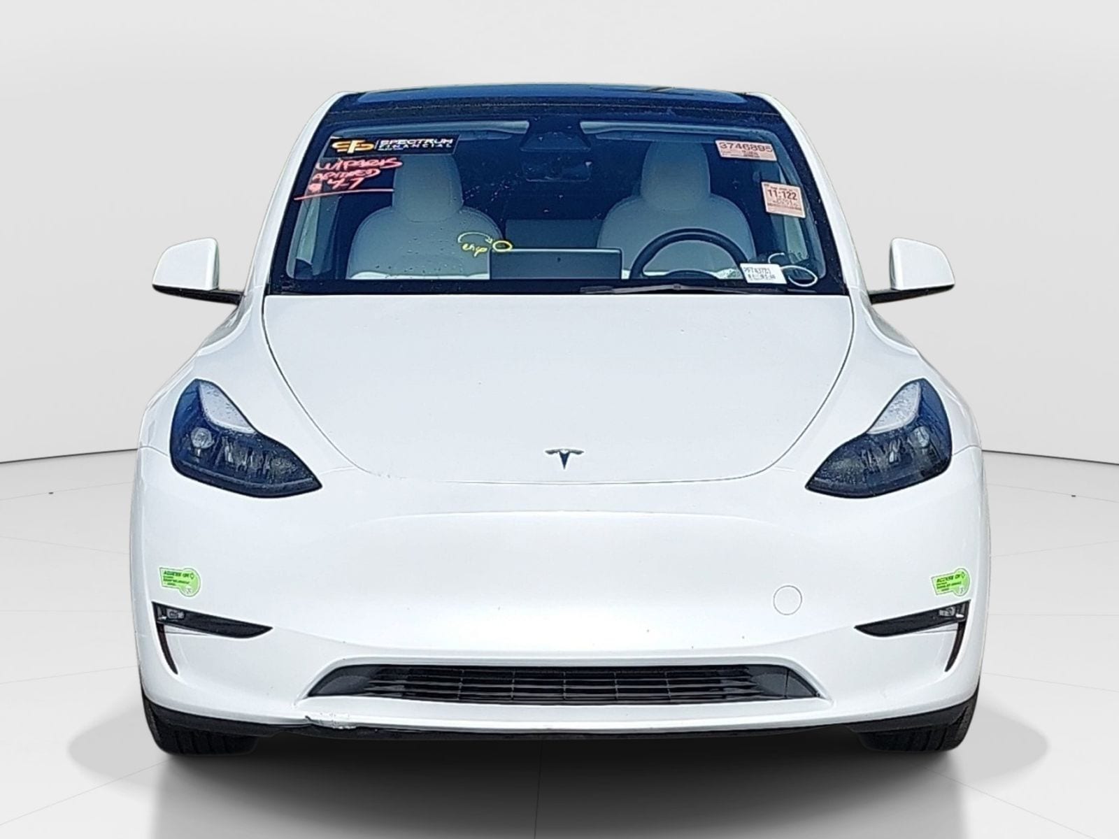2023 Tesla Model Y Performance photo 2