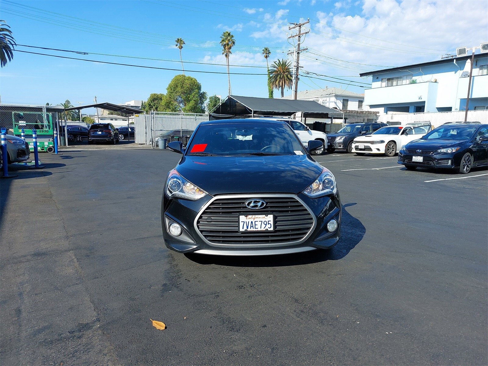 2016 Hyundai Veloster Turbo R-Spec Rally Edition photo 2