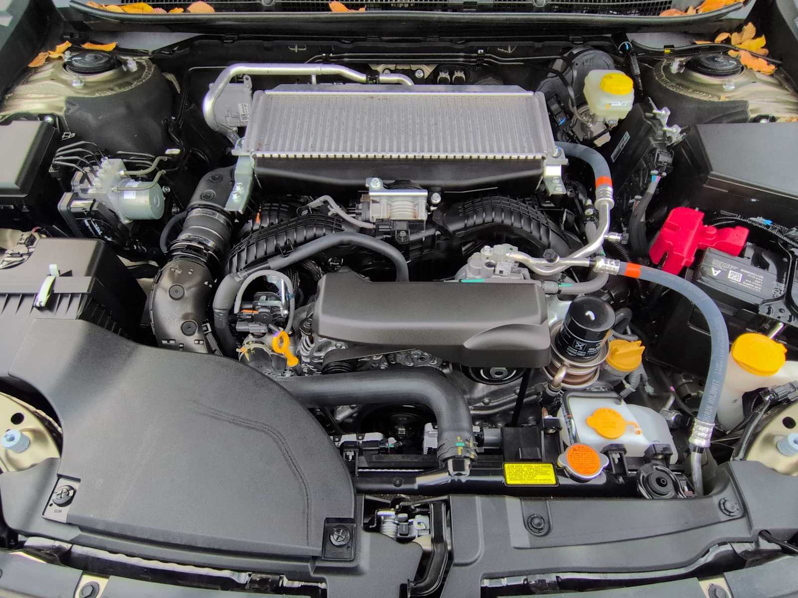 Thumbnail: 2025 Subaru Outback - 15