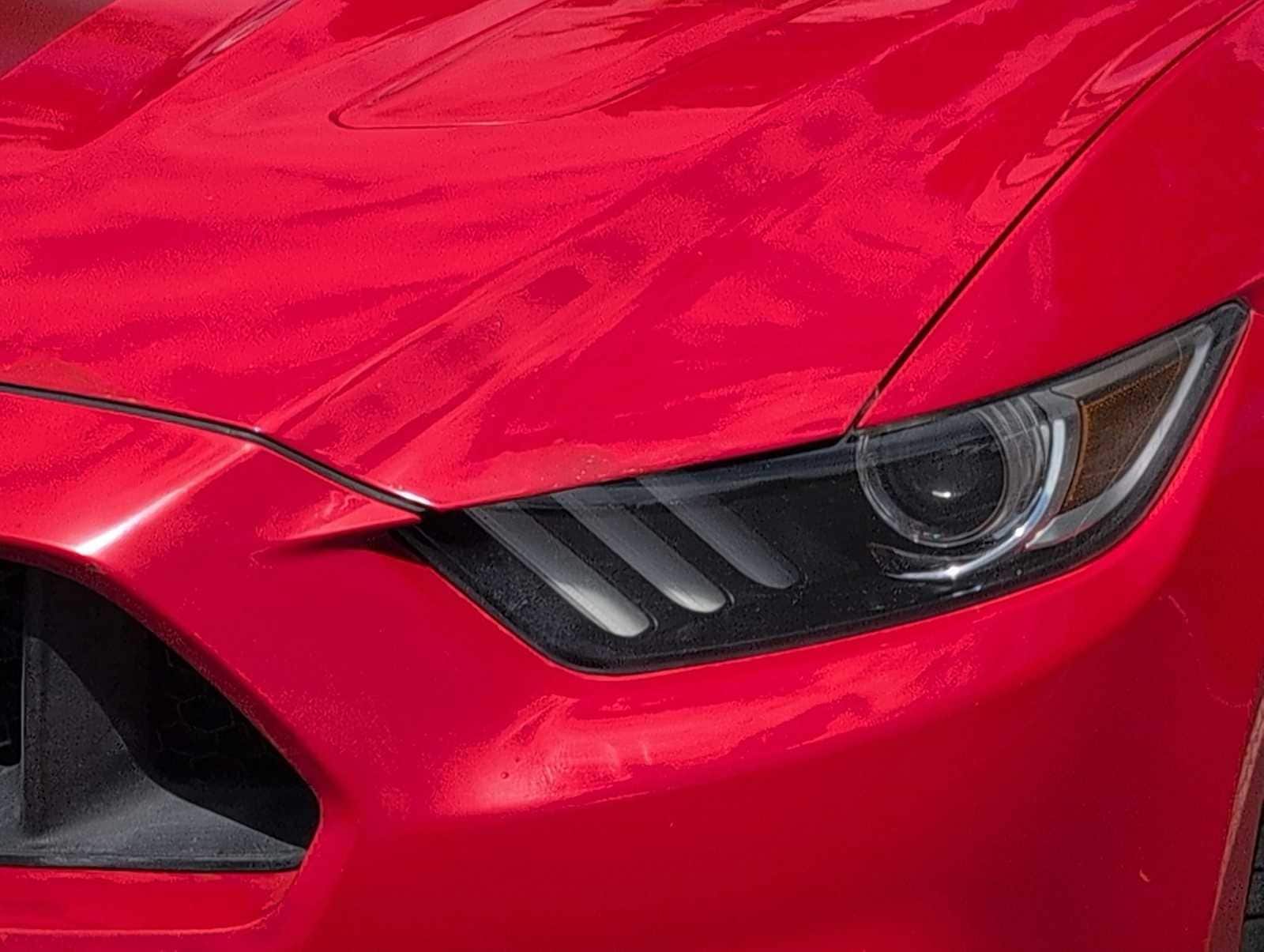 Thumbnail: 2016 Ford Mustang - 11