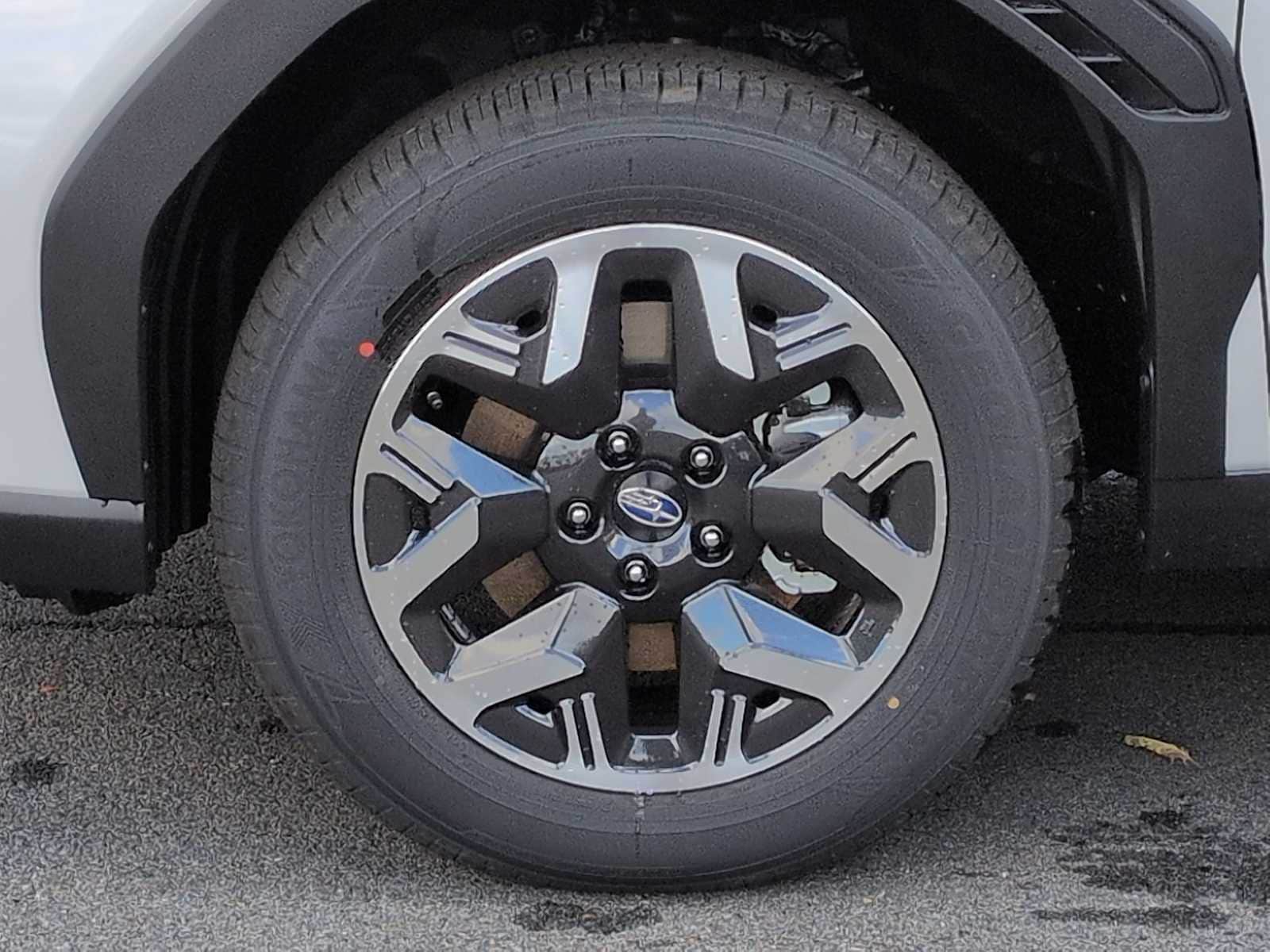 Thumbnail: 2025 Subaru Forester - 14