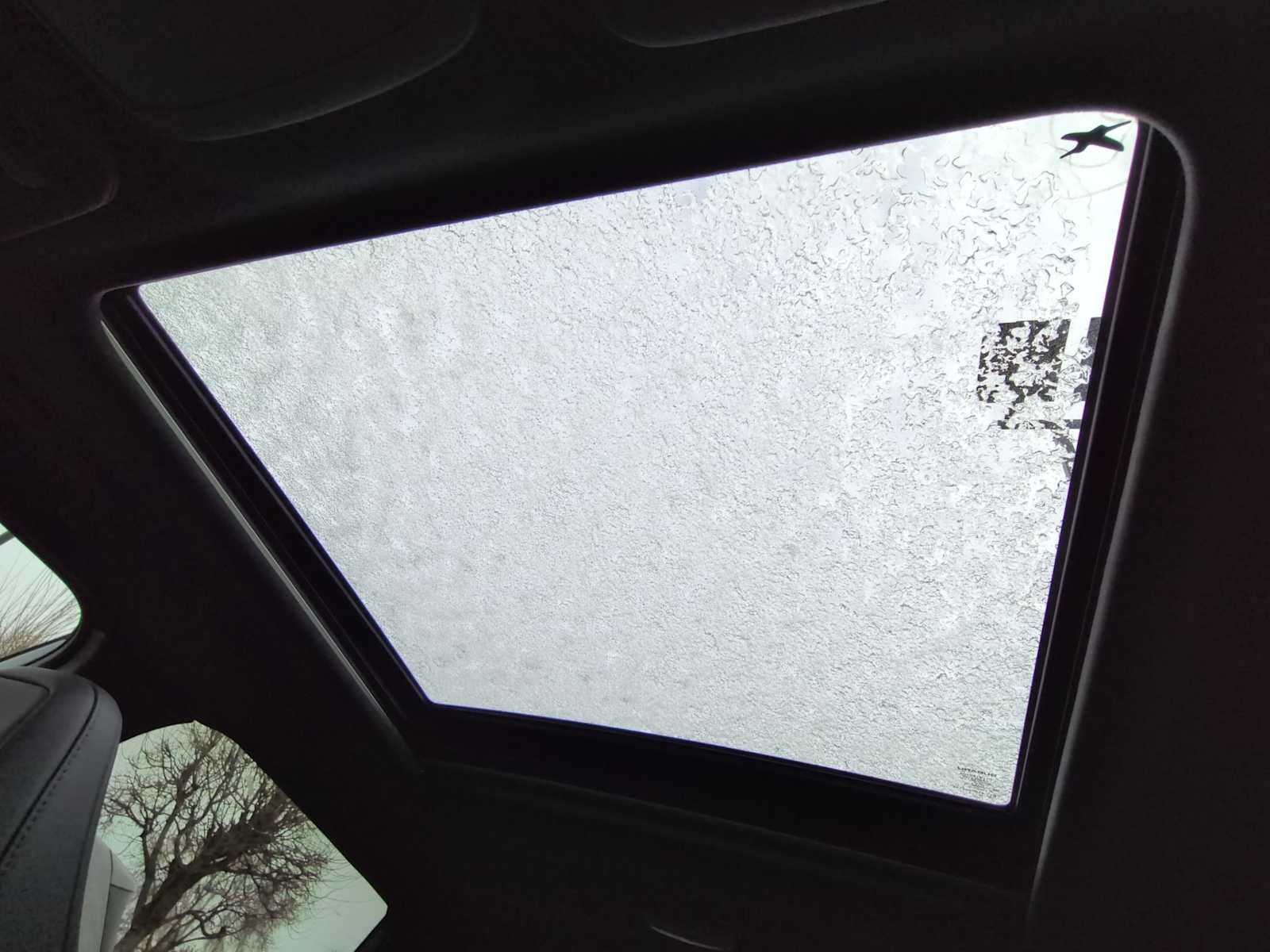 Thumbnail: 2026 Subaru Forester - 20