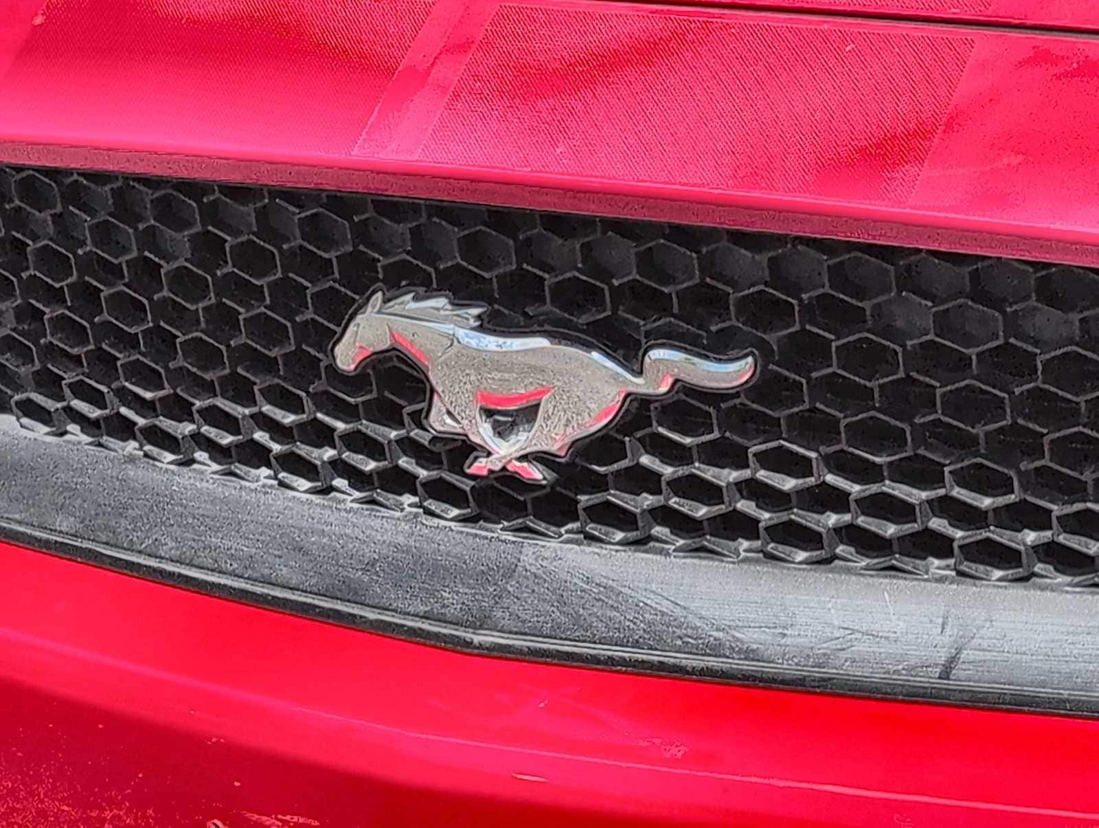 Thumbnail: 2016 Ford Mustang - 12