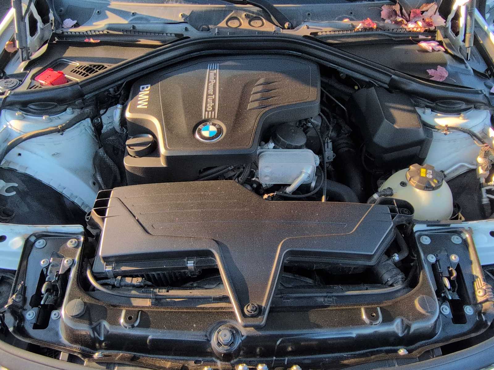 Thumbnail: 2016 BMW 3 Series - 15