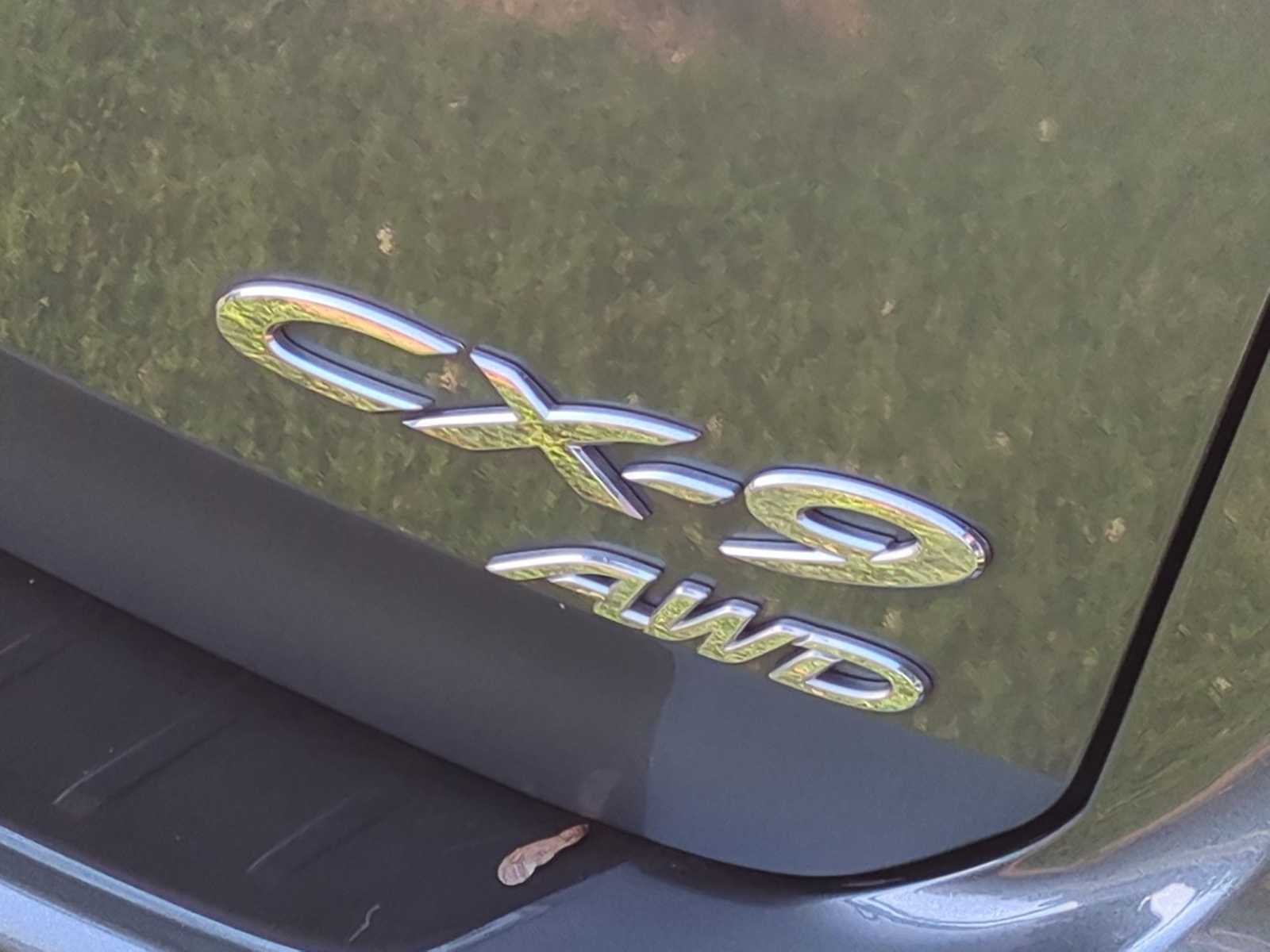 Thumbnail: 2013 Mazda CX-9 - 13