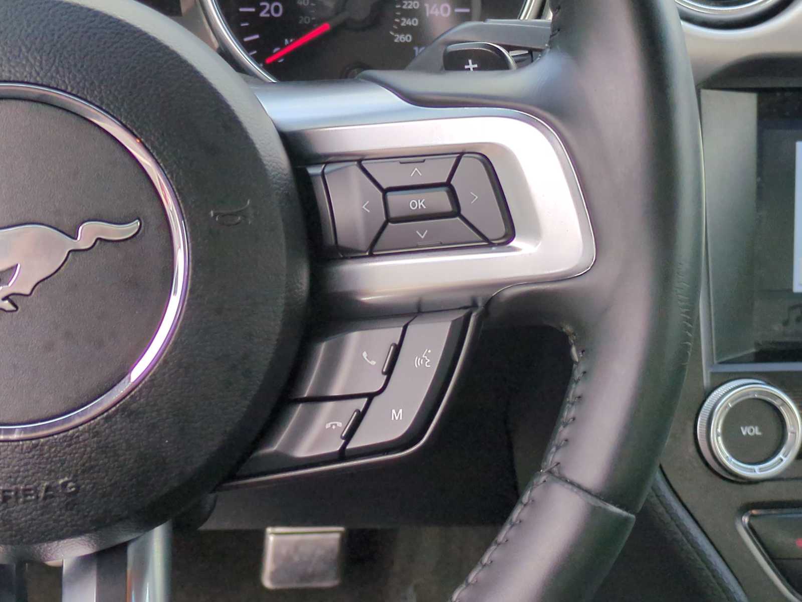 2018 Ford Mustang GT Premium 15