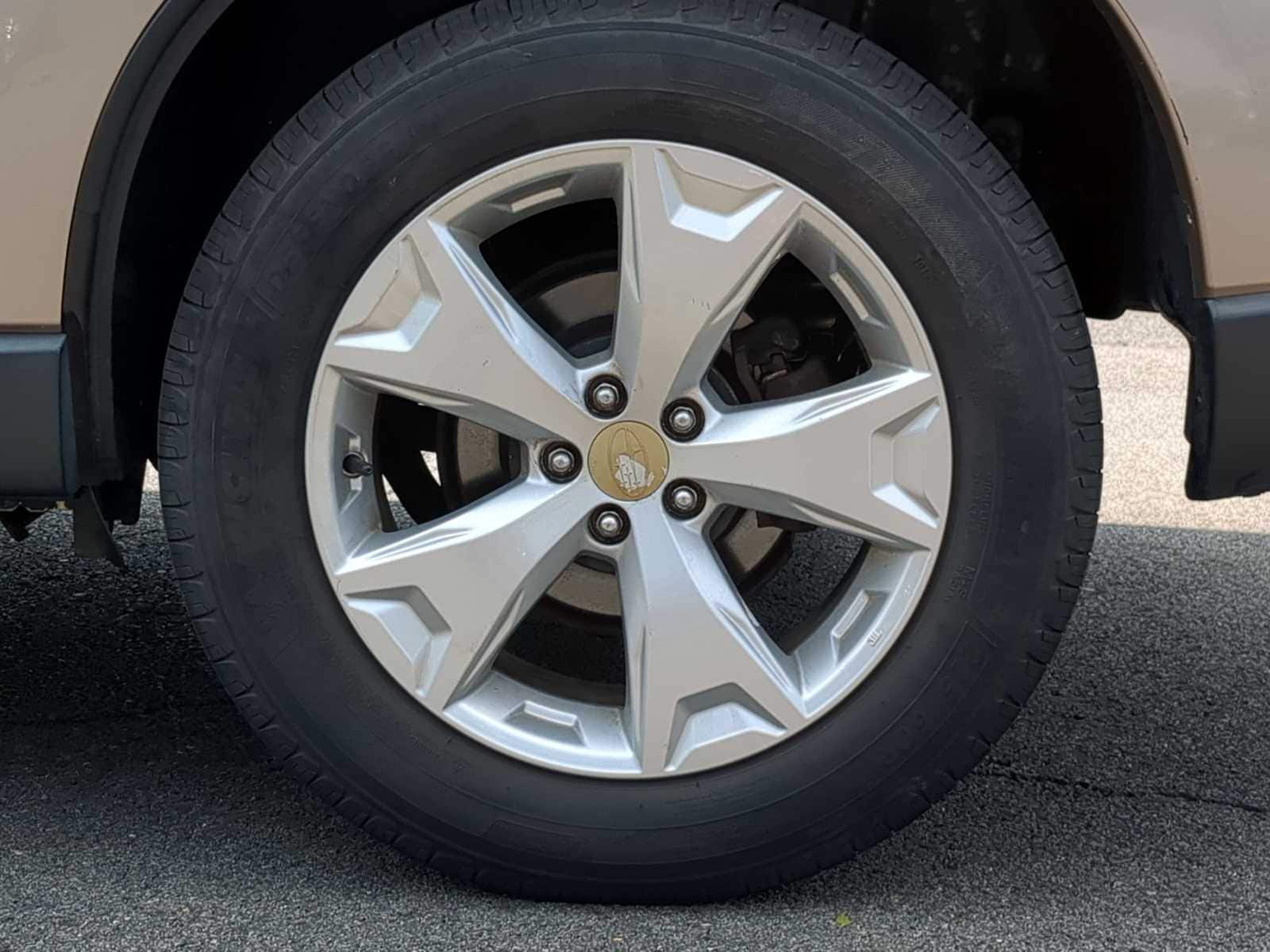 Thumbnail: 2014 Subaru Forester - 14
