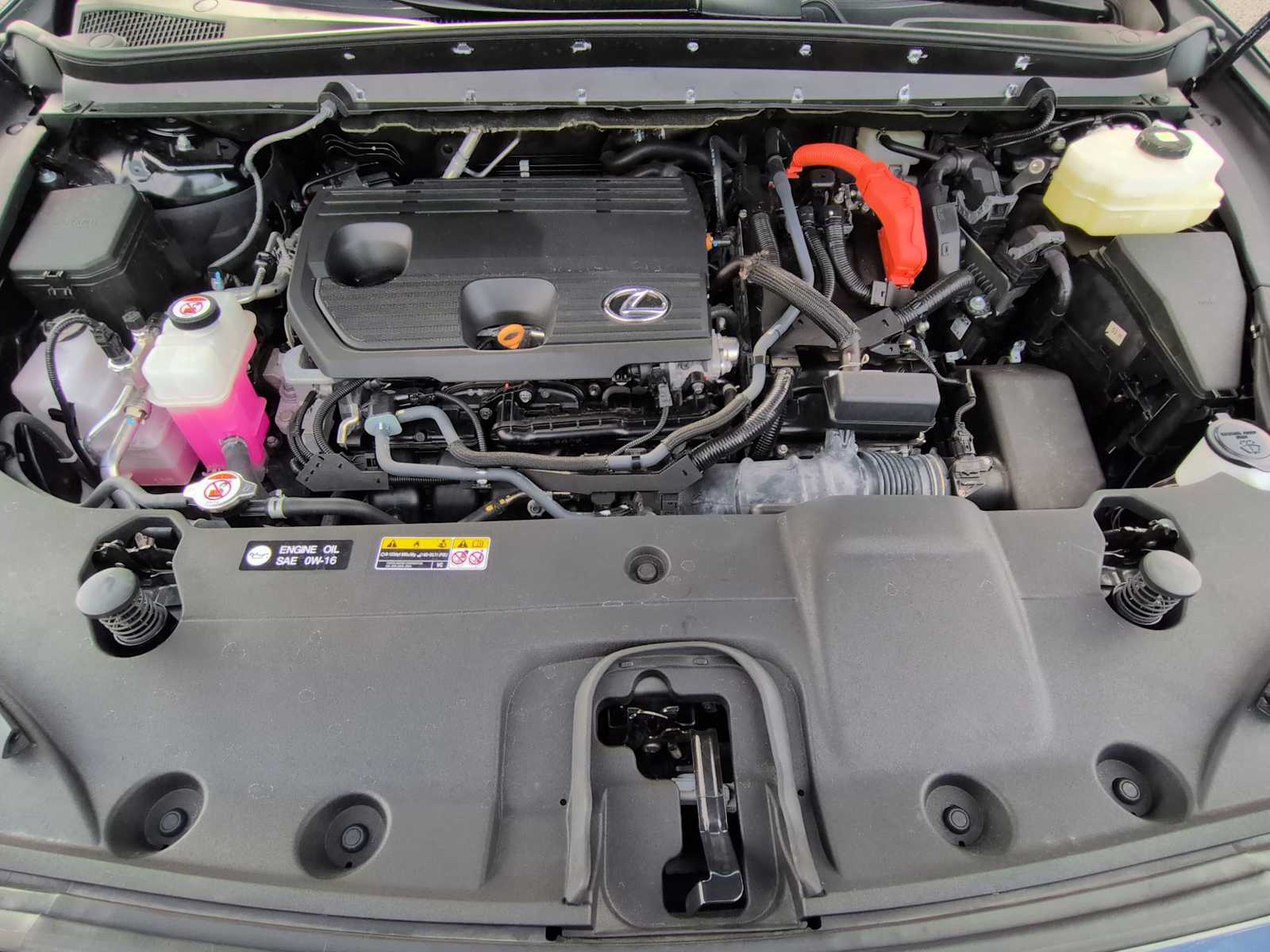 Thumbnail: 2024 Lexus RX - 14