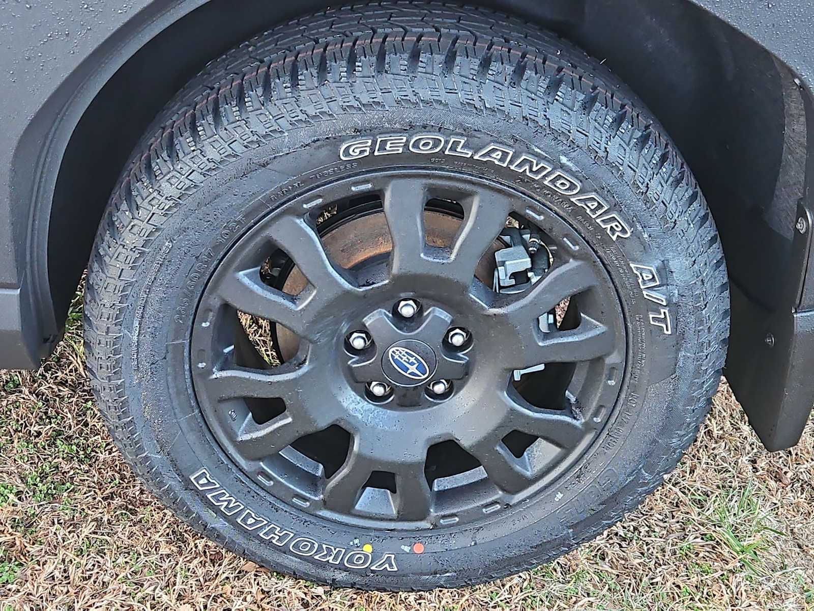 Thumbnail: 2026 Subaru Forester - 12