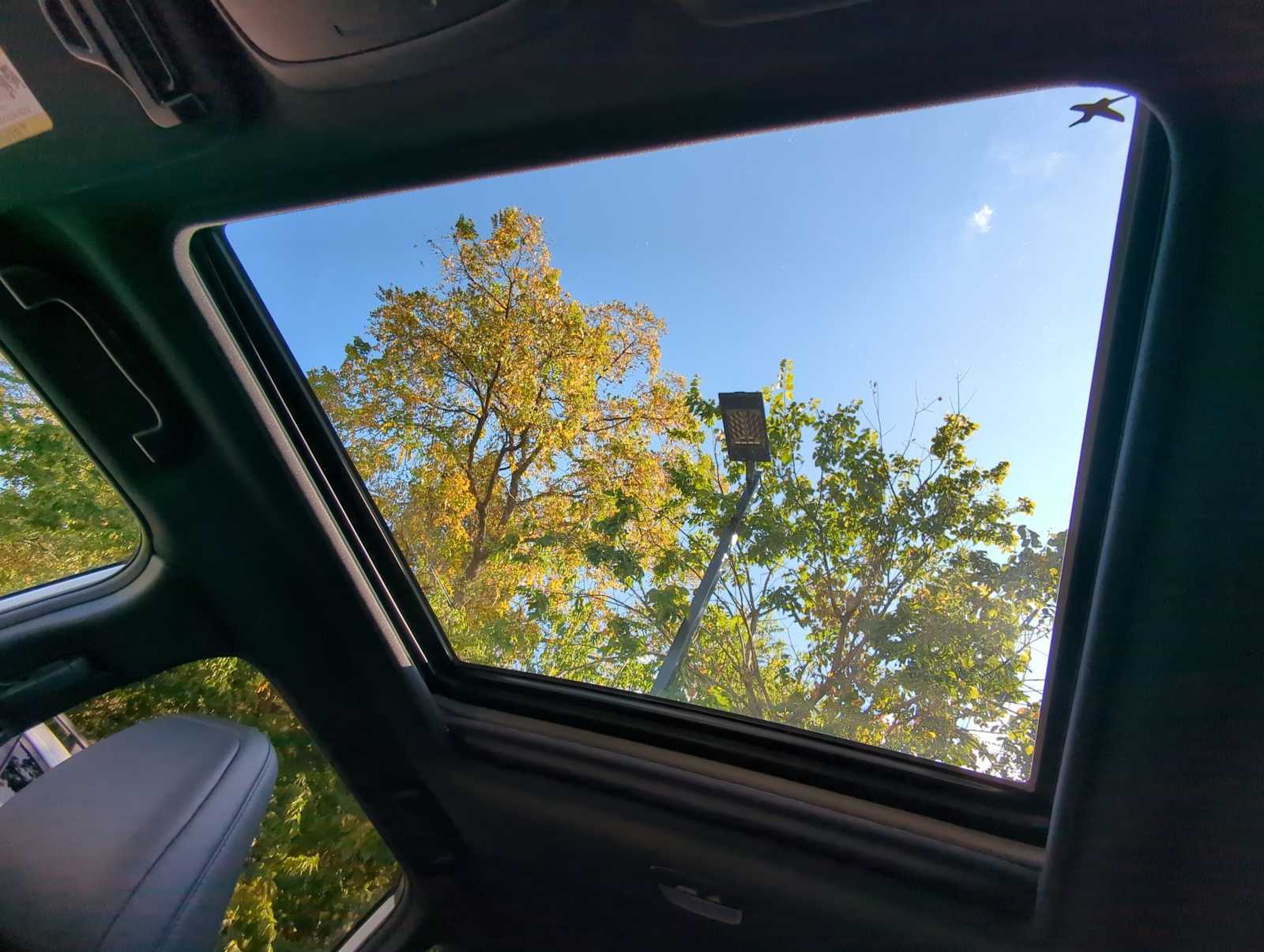 Thumbnail: 2025 Subaru Forester - 20