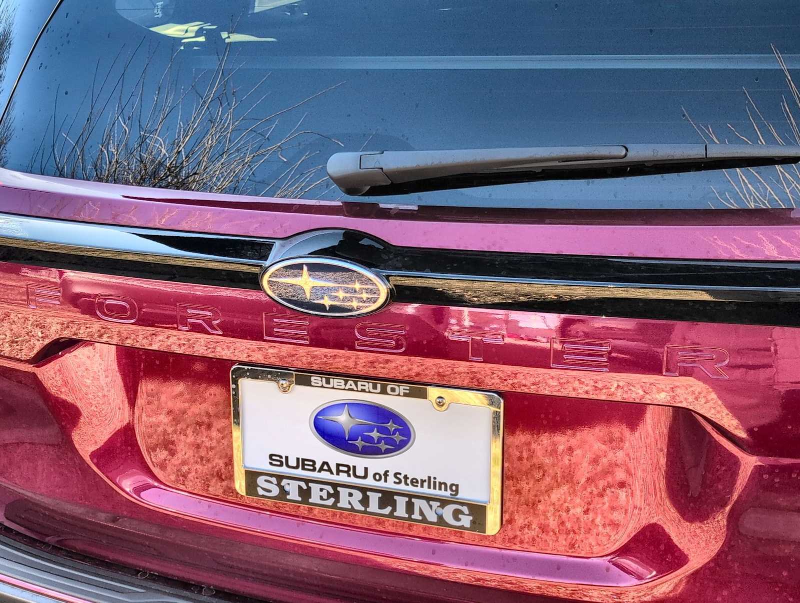 Thumbnail: 2025 Subaru Forester - 13