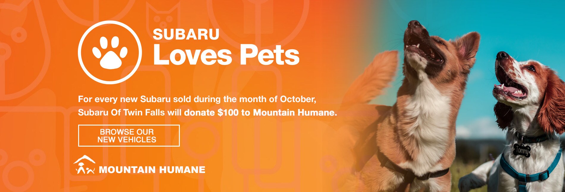 SUbaru loves pets.jpg