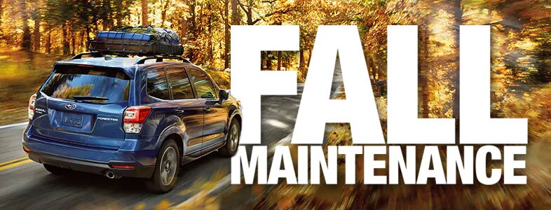 Fall-maintenance.jpg Blue Forester driving in a forest in autumn