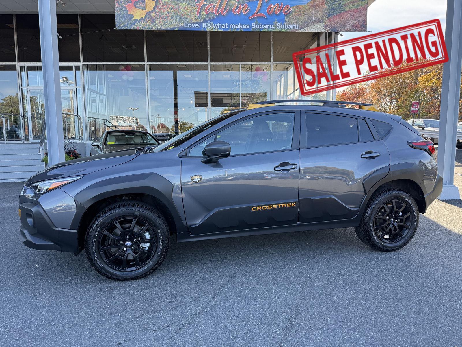 2025 Subaru Crosstrek Wilderness's photo