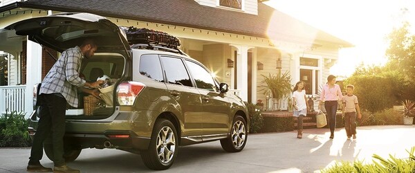 Forester.jpg