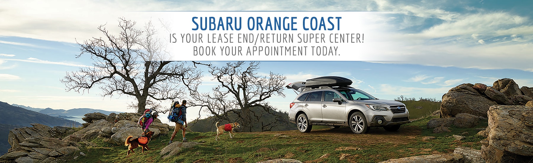South Coast Subaru >> Subaru Orange Coast Dealership Santa Ana Serving Orange Ca Oc Subaru South Coast Subaru >> Subaru Orange Coast Dealership Santa Ana Serving Orange Ca Oc Subaru