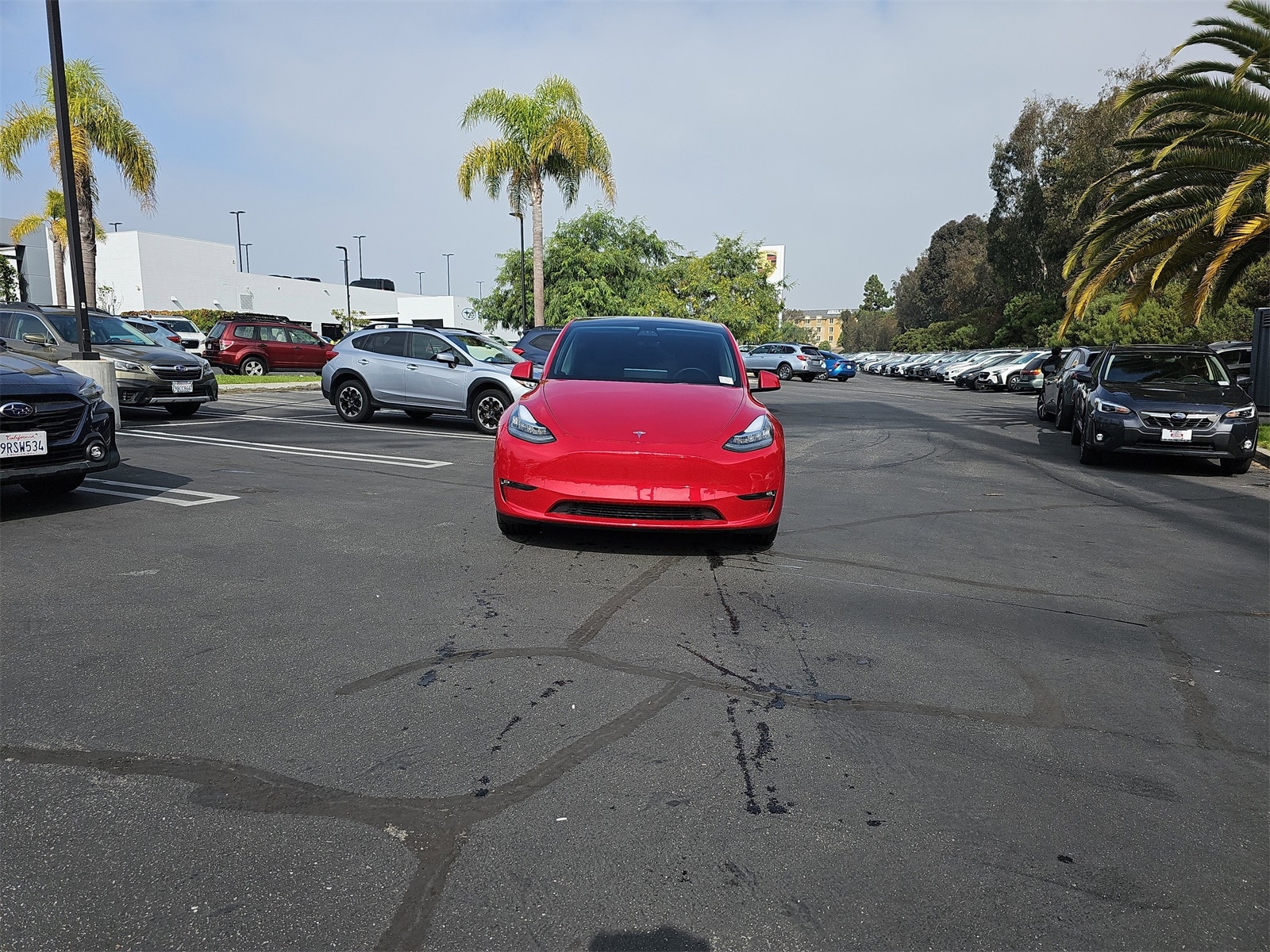 Used 2021 Tesla Model Y Long Range with VIN 5YJYGDEE8MF219256 for sale in Northfield, Minnesota