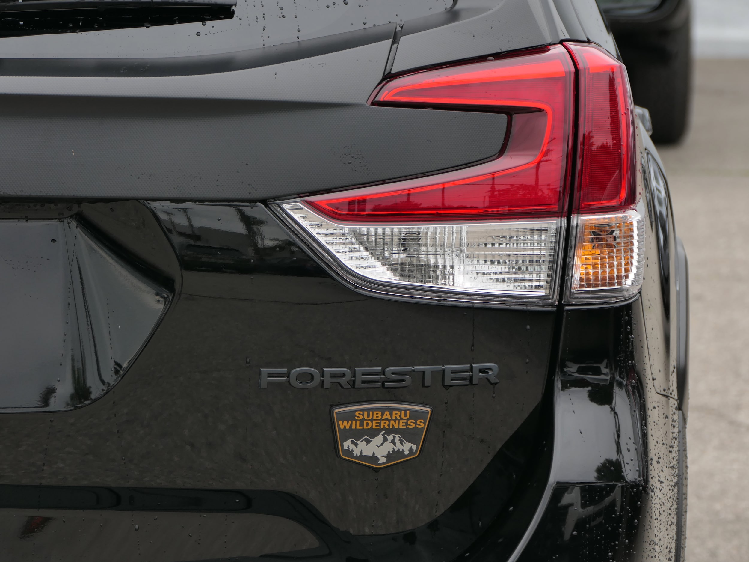 2025 Subaru Forester Wilderness photo 4