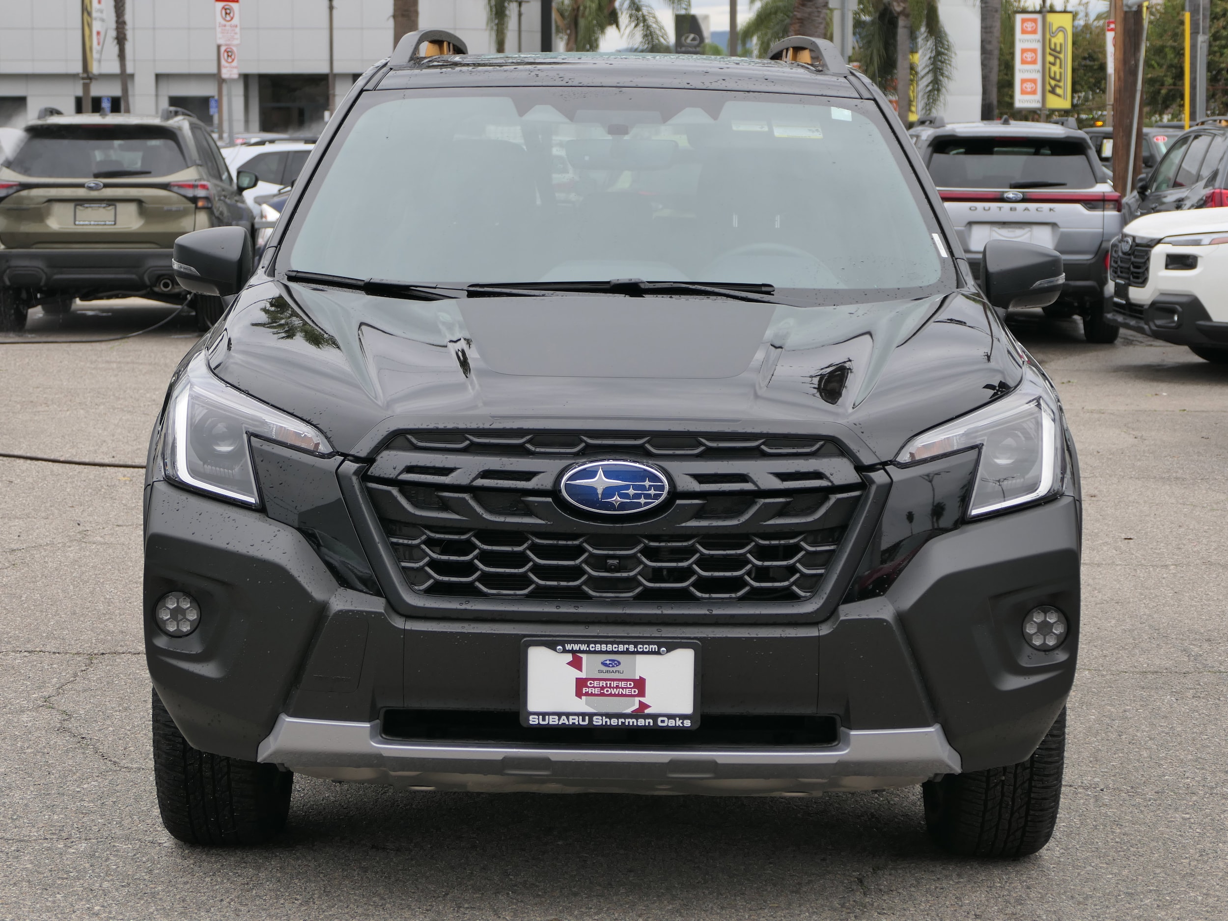 2025 Subaru Forester Wilderness photo 3