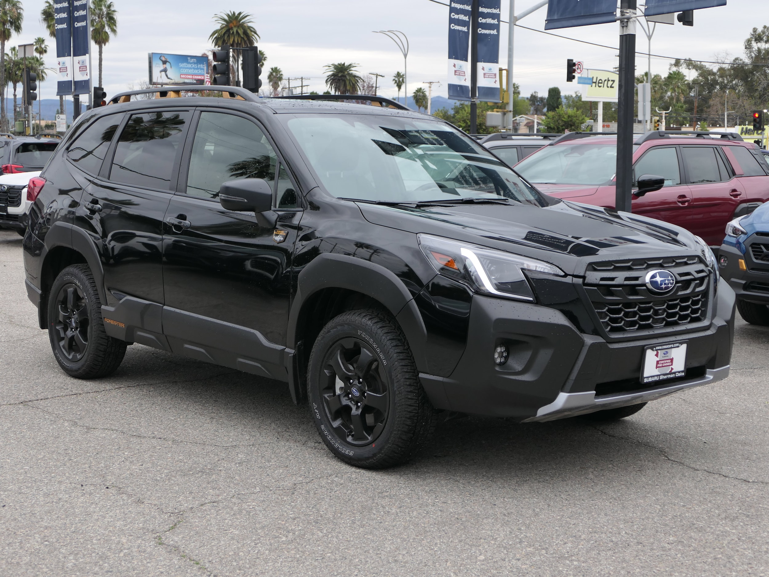 2025 Subaru Forester Wilderness photo 6