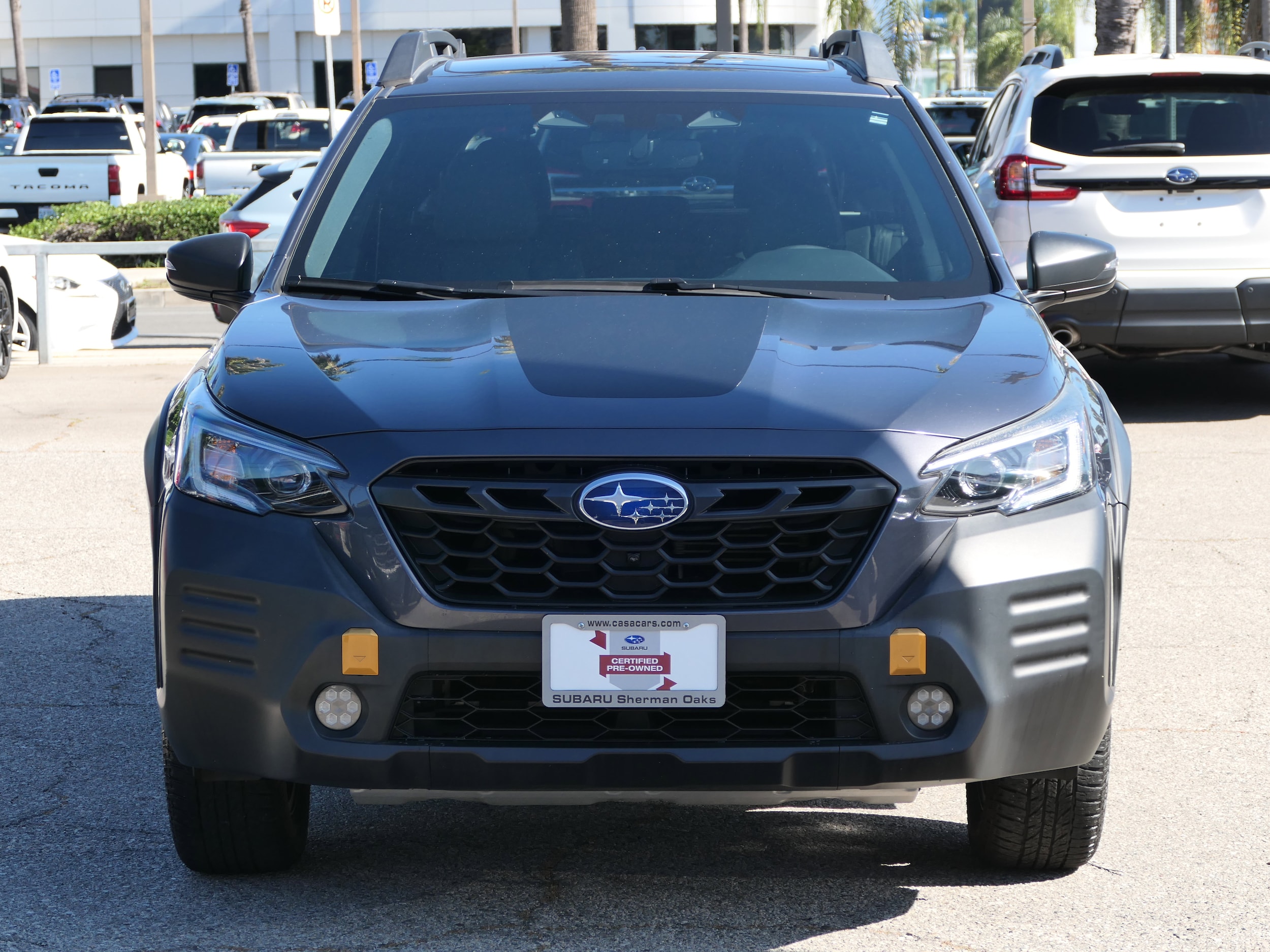 2023 Subaru Outback Wilderness photo 3