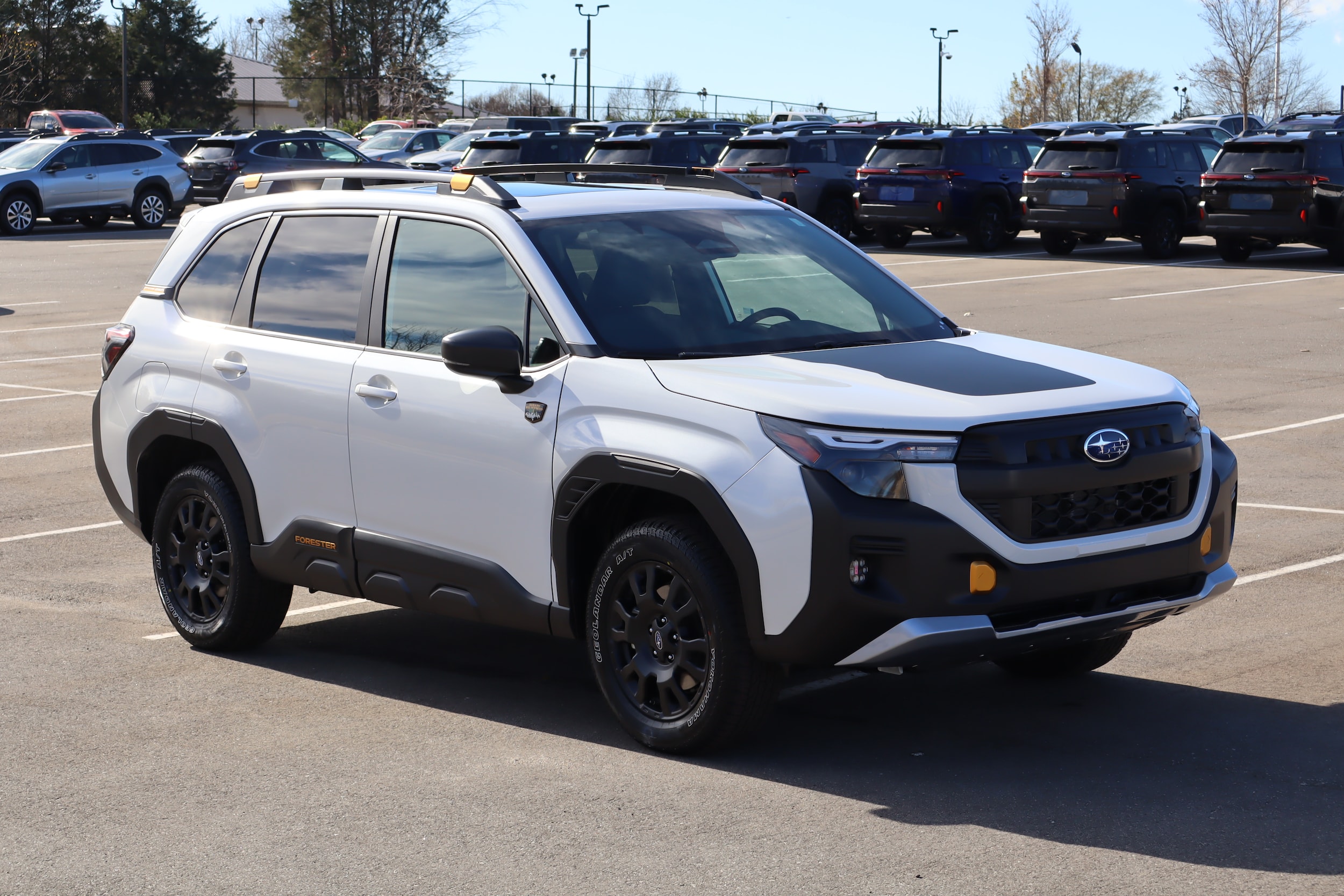 2026 Subaru Forester Wilderness's photo