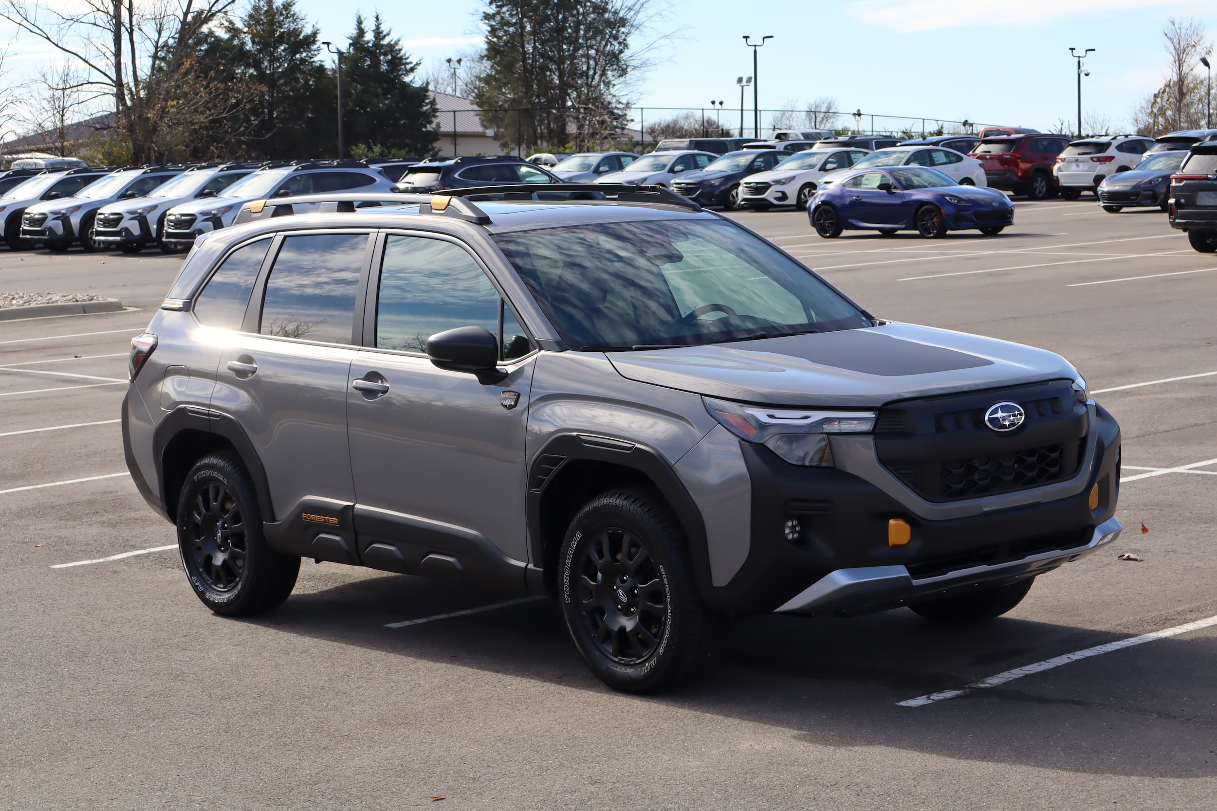 2026 Subaru Forester Wilderness's photo