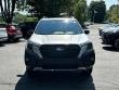 2023 Subaru Forester Wilderness SUV