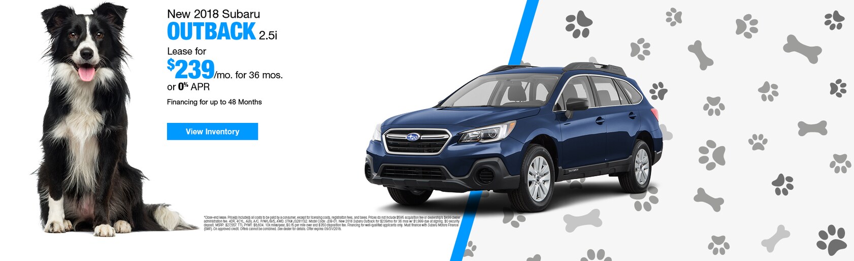 New Amp Used Subaru Dealership In Newton Nj
