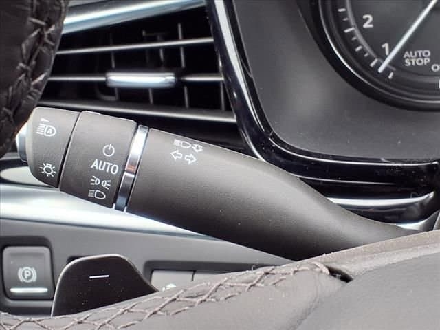 Thumbnail: 2025 Cadillac XT6 - 17