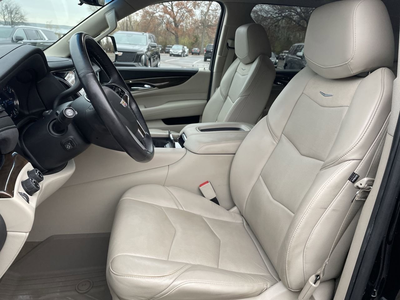 Thumbnail: 2019 Cadillac Escalade - 12