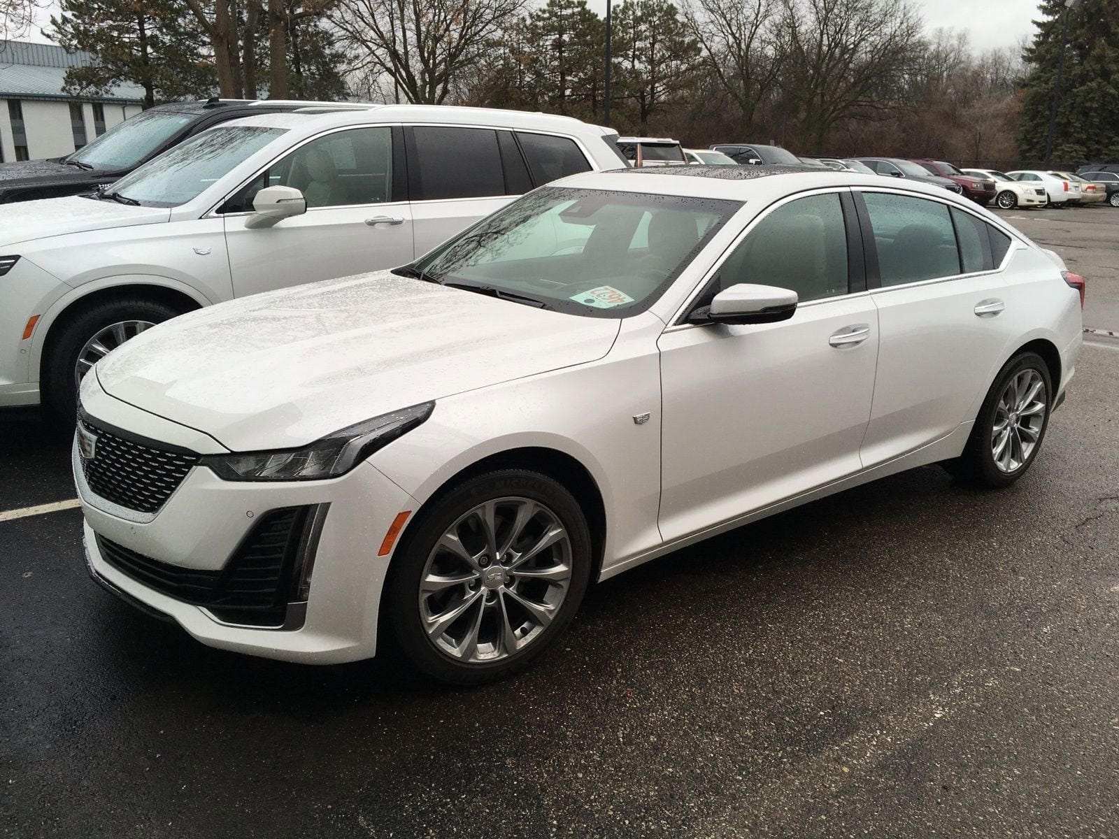 2023 Cadillac CT5 Premium Luxury -
                  Plymouth, MI