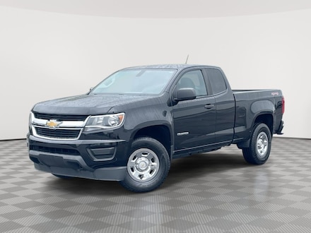 2019 Chevrolet Colorado 4WD Work Truck Truck