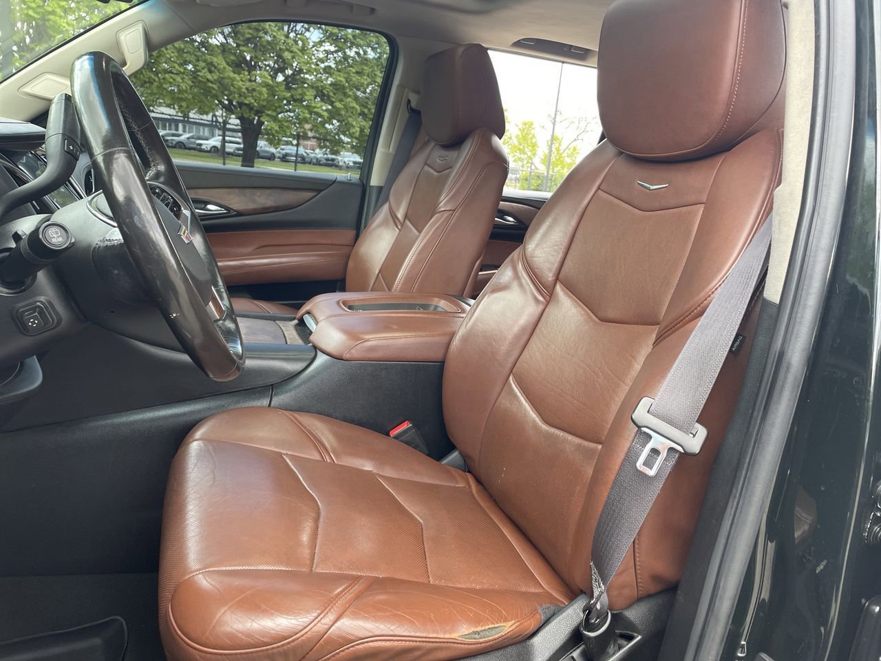 Thumbnail: 2016 Cadillac Escalade - 12