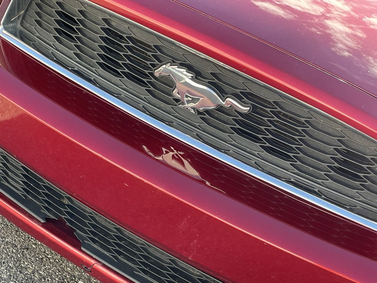 Thumbnail: 2014 Ford Mustang - 30
