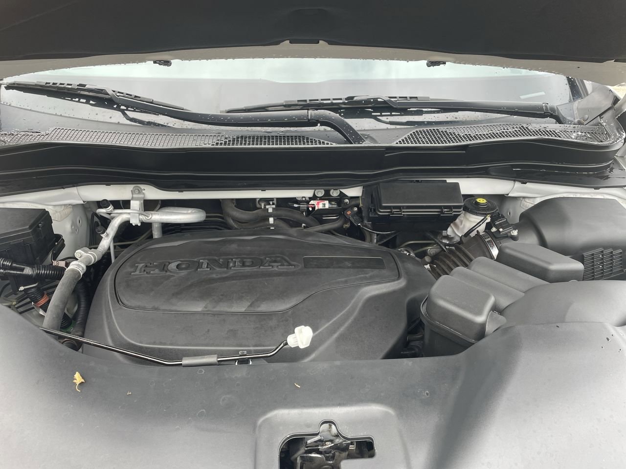 Thumbnail: 2022 Honda Pilot - 36