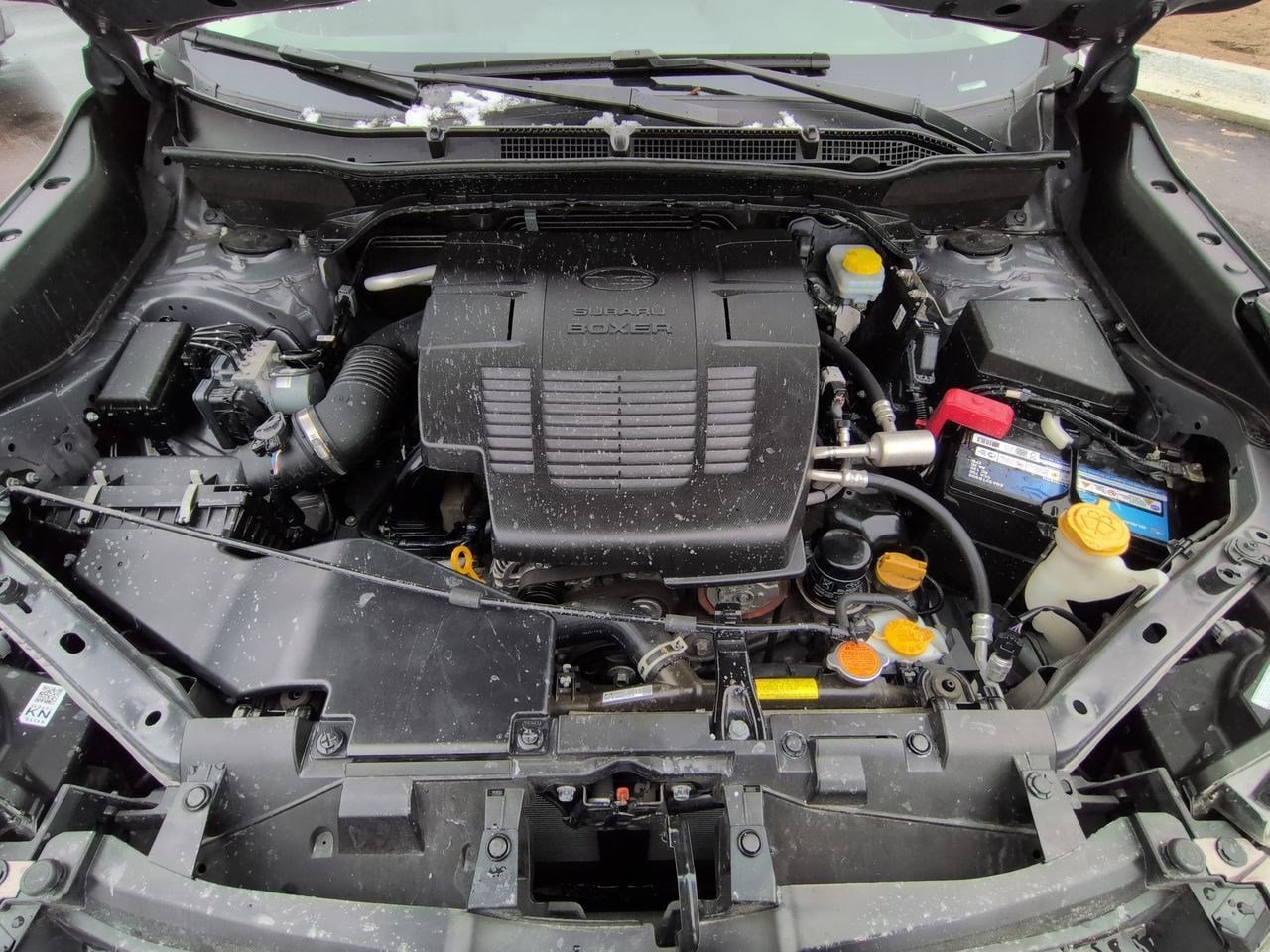 Thumbnail: 2022 Subaru Forester - 14