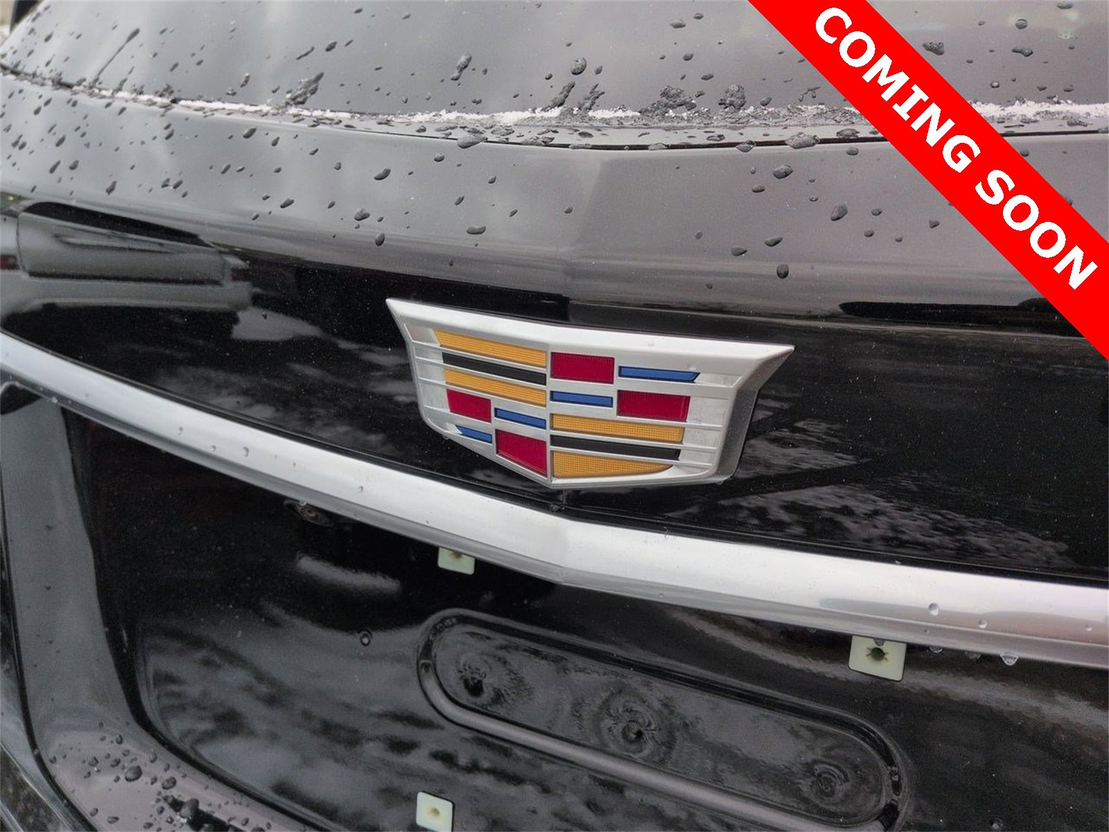 Thumbnail: 2025 Cadillac XT5 - 11