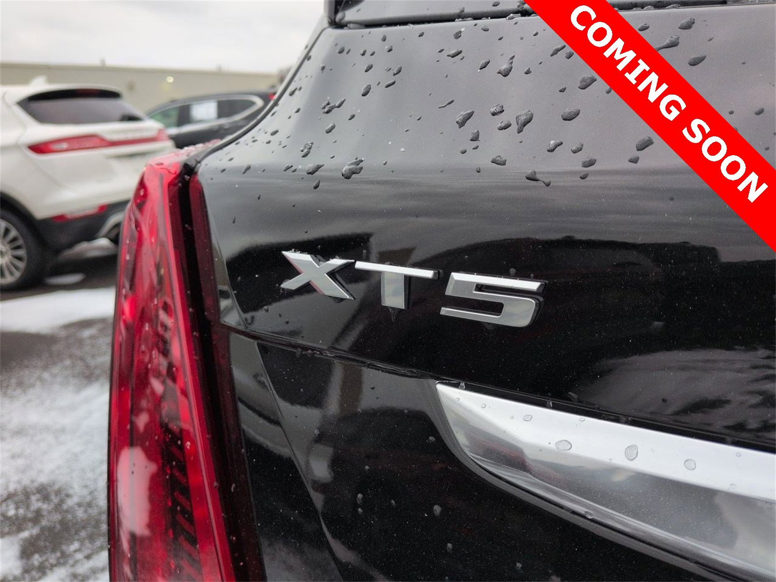 Thumbnail: 2025 Cadillac XT5 - 12