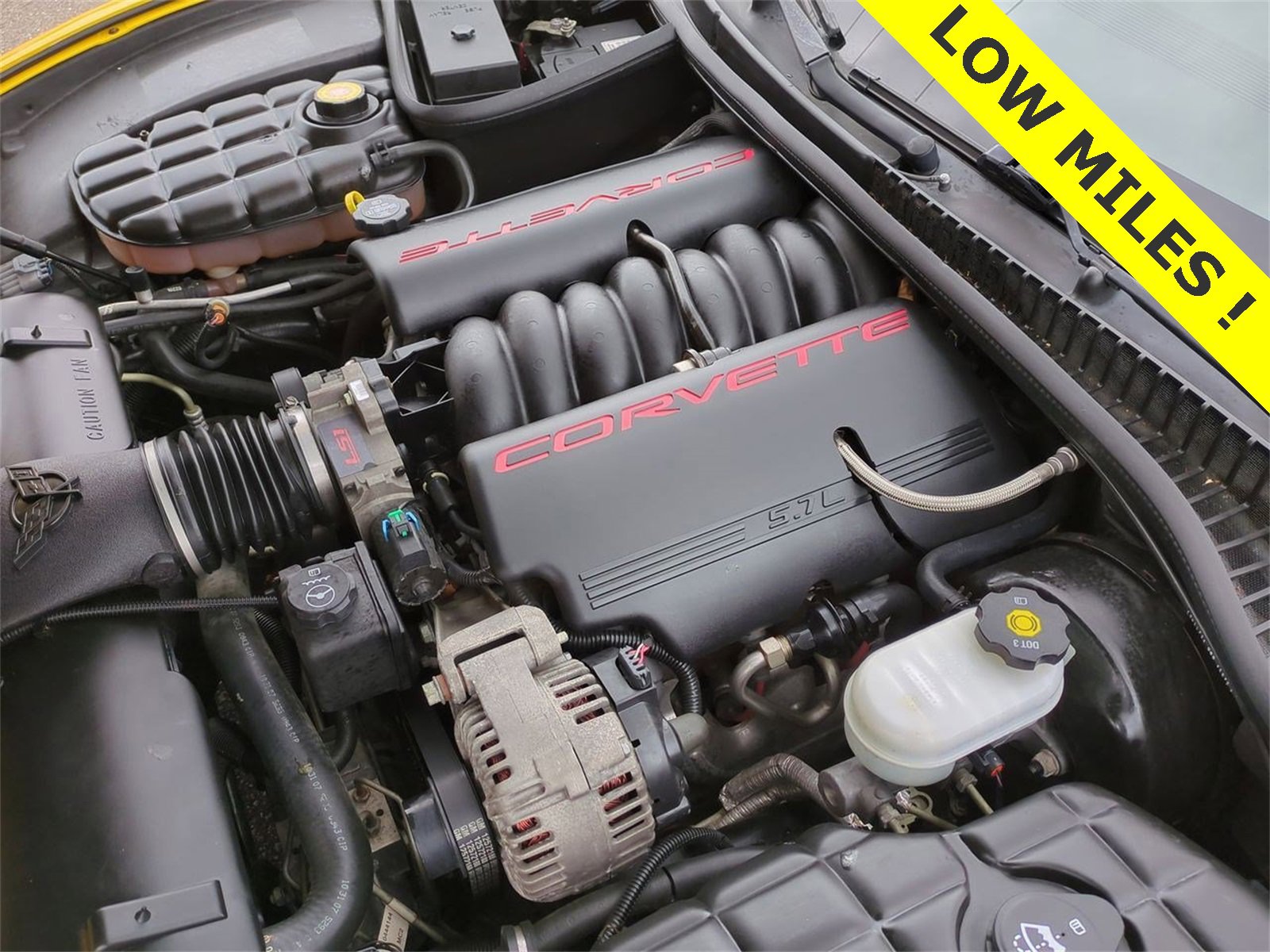 Thumbnail: 2004 Chevrolet Corvette - 13