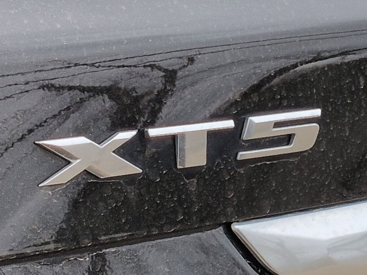 Thumbnail: 2023 Cadillac XT5 - 12