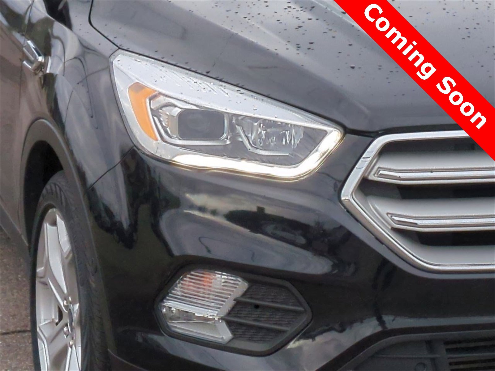 Thumbnail: 2019 Ford Escape - 10